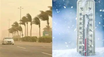 طقس بارد.. توقعات درجات الحرارة بين السبت والأربعاء 8-12 نوفمبر 2025 تظهر انخفاضًا واضحًا في المناخ الخريفي.